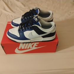 Nike Dunk Blue
