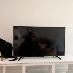 43" TV (Sharp)