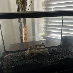 10 Gallon Fish Tank 