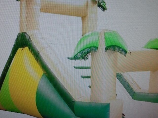 Water Slide Bounce House