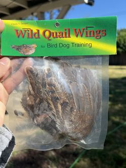 Wild Quail Wings