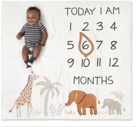 Baby Milestone Blanket and Frame Set 2 pieces 