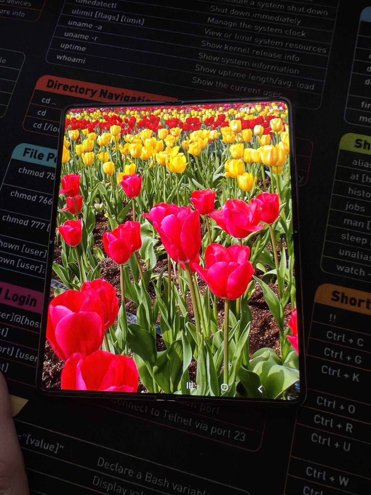 Samsung Galaxy Fold4