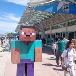 Minecraft Steve Cosplay