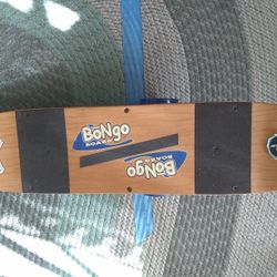 Bongo Balance Board