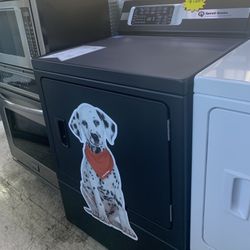 Dryer Heavy Duty + Sanitize+Steam+Pet Plus