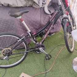 Specialized 28 Speed