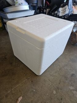 Foam Cooler