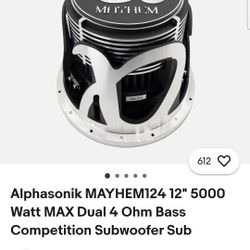 Old School Alphasonik Mayhem 12's 