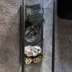 20 gallon tank with all necesites needed