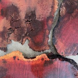 Manzanita ROOT Balls For Crafting