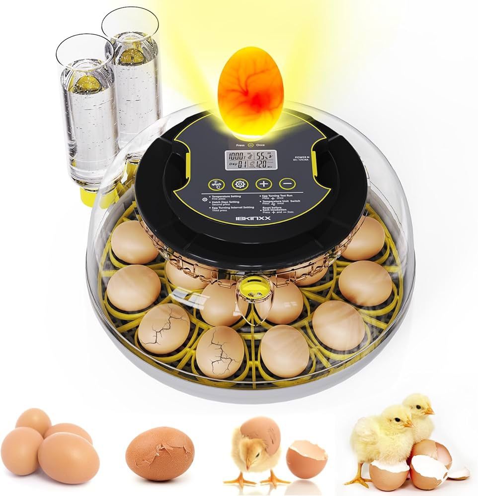 Egg Incubator: 18 Egg Capacity, Automatic Egg Turner, Temperature & Humidity Control, 360° Viewing for Chicken, Duck, and Quail Eggs