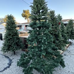 9 ft Christmas tree this tree have white ligths also  come in three parts top pcs little different  we locate inn hesperia came see it also I i have m