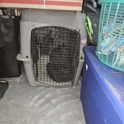 Large Dog Kennel