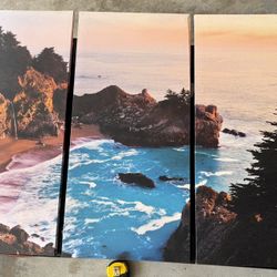 Canvas Art , Big Sur 