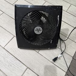 Fan