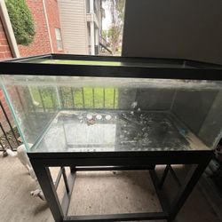40 Gallon Fish Tank With Stand 