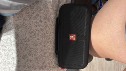 Nintendo switch case