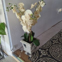 Silk orchid with planter