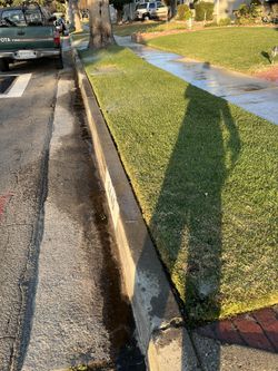 Sprinklers 