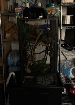 Reptile cage