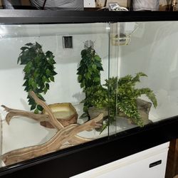 Reptile Room