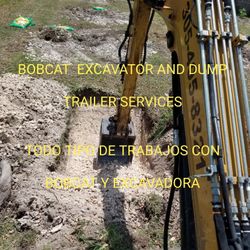 Bobcat and Excavator 