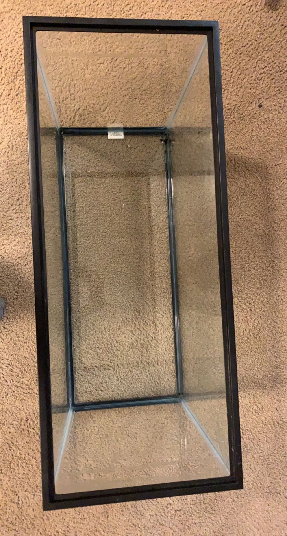45 gallon fish tank with filter, light and decorations