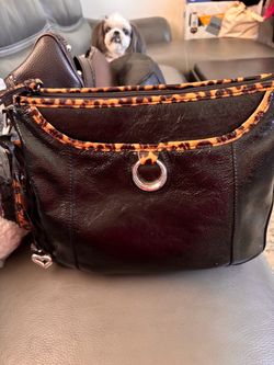 Brighton Italian leather purse with leopard print trim