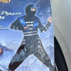 Halloween Costume: Ice dragon ninja