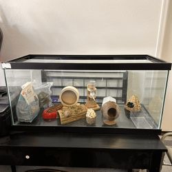 Glass Tank-Terrarium 