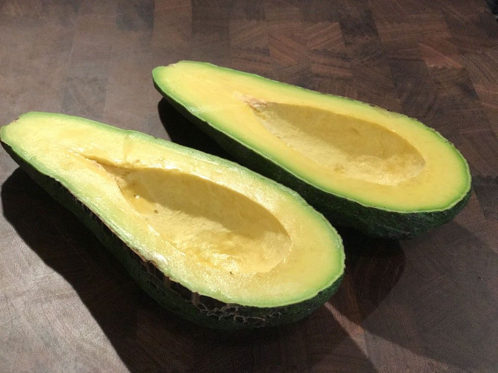 Avocado/ Aguacate tree. CATALINA