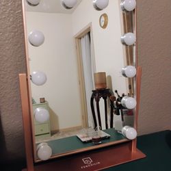 Lighted Makeup Vanity Mirror 