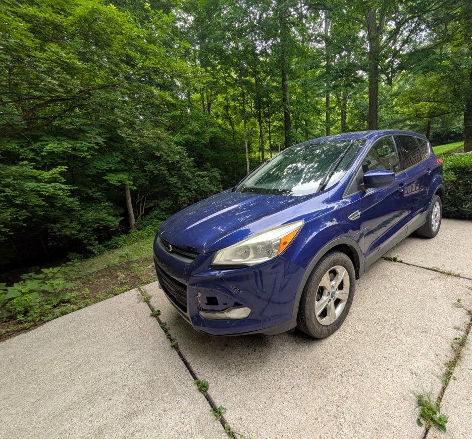 2014 Ford Escape