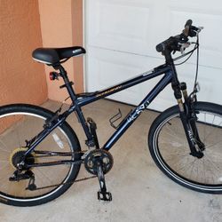 Schwin mountain bike