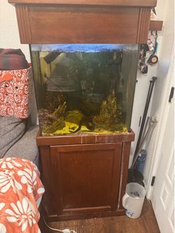 40gal breeder aquarium