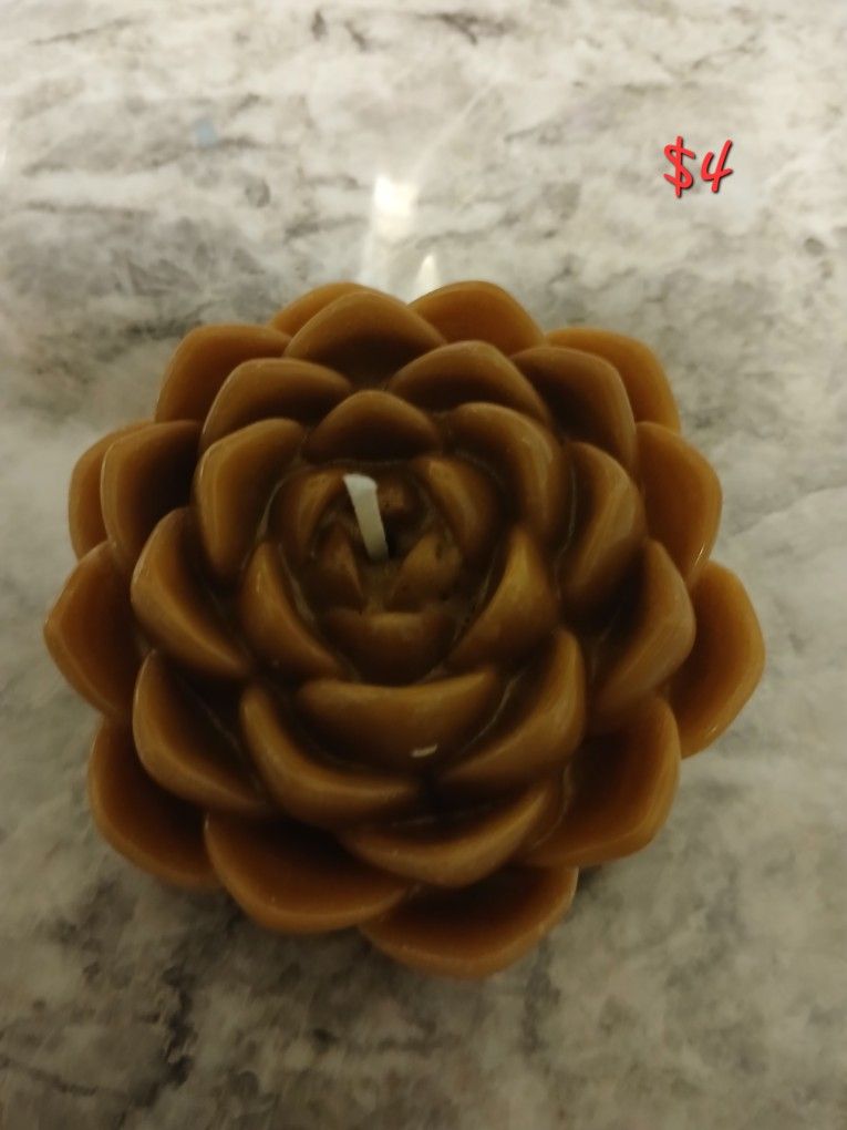 Succulent Candles Unscented