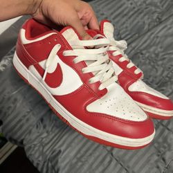 Nike Dunks