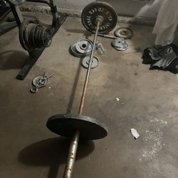 Olympic Weight Bench