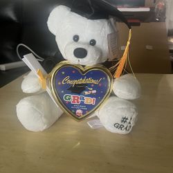 Graduation Teddy Bear New