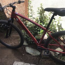 Brand New Cherry Red Schwann Bike 
