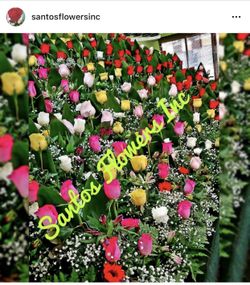 We sell Fresh Flowers for all occacions/Vendemos las mejores flores para cualquier evento!