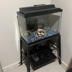  Large Fish Tank with Stand – $100 OBO