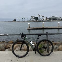 Revolt X Advanced Pro 2 Gravel Bike