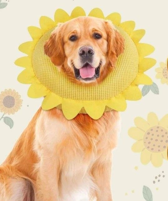 NEW! Inflatable Recovery Dog/Cat Collar Adjustable, Yellow Sunflower, XL (Neck:17.7"-23.6")