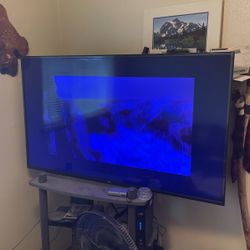 BIG TV Flatscreen 