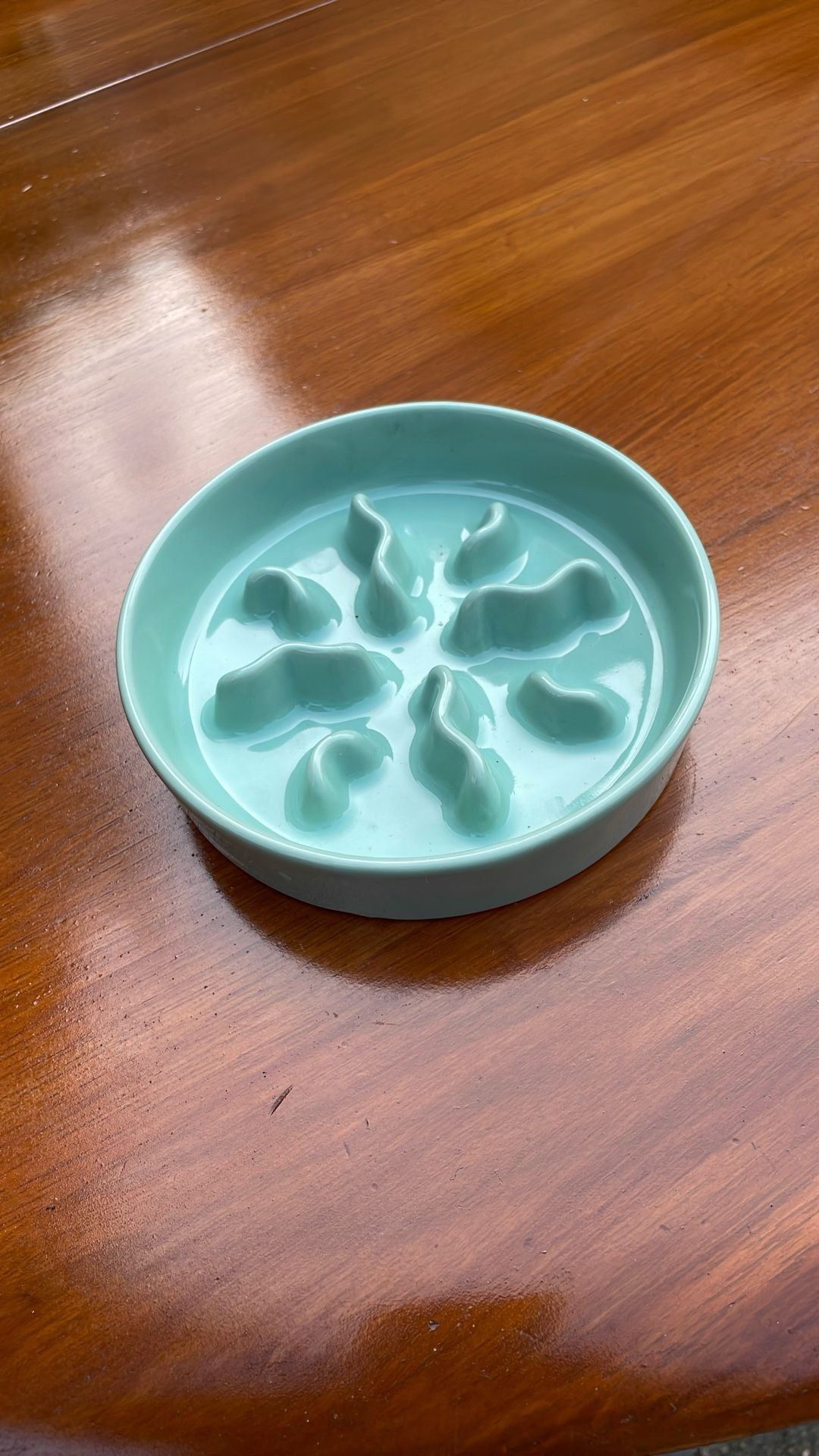 Cat/ Dog Feeding Plate New