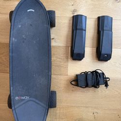 EXWAY Electric Skate Board
