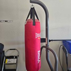 Punching Bag