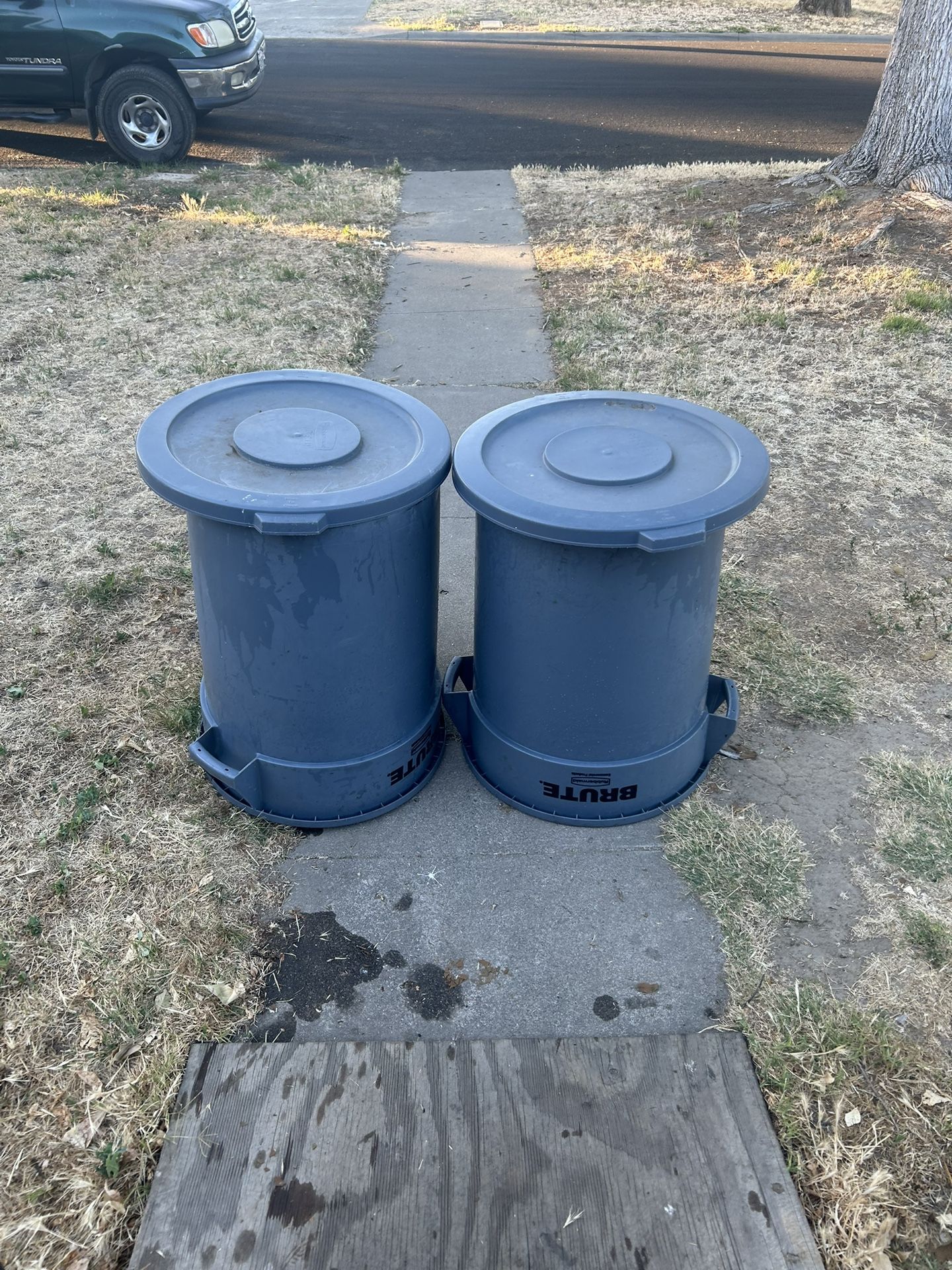 Brute Cans